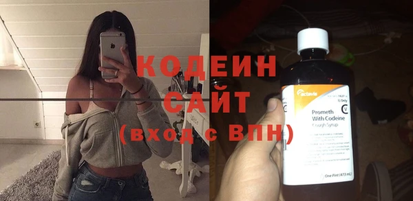 молекула духа Арсеньев