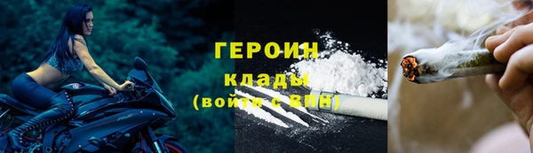 молекула духа Арсеньев