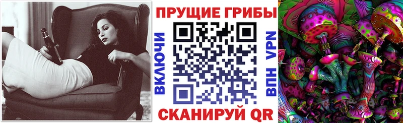 купить   мориарти официальный сайт  Псилоцибиновые грибы Cubensis  Бор 
